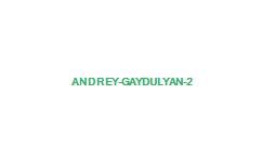 Андрей Гайдулян 2