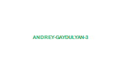 Андрей Гайдулян 3